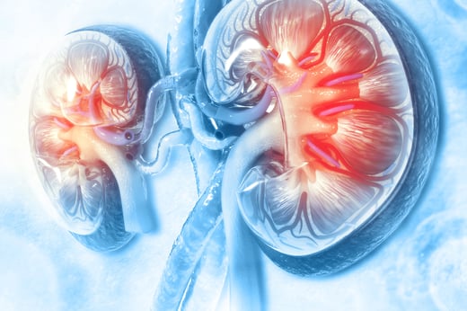 Penn LDI CKD Research Initiative
