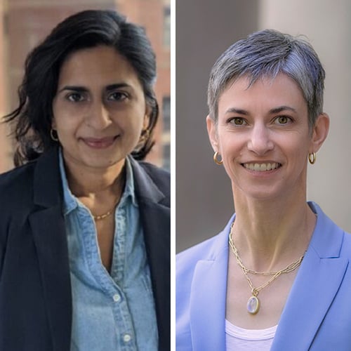 Paula Chatterjee and Rachel M. Werner