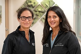 Adi Hirshber and Sindhu Srinivas